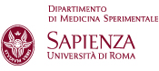 sapienza